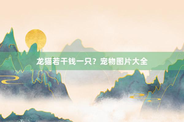 龙猫若干钱一只？宠物图片大全
